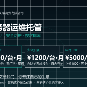 服务器运维托管 · 东创天承 服务器运维托管 · 东创天承